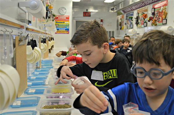 Kindergarten students make up their take-home pouches of pizza ingredients and their sources 